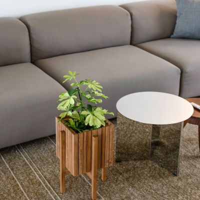 squarely-1354292-unsplash